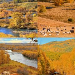 Manda Sheng Yuan Xiang chafing  dish User Photo