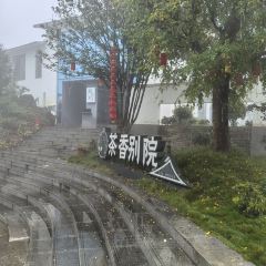 天池山云端木屋·茶香别院阳光餐厅 User Photo