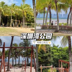 老顾客煲仔饭(蛇口店) User Photo