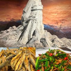 老张兴笨鸡店 User Photo