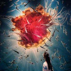 The Tropic User Photo