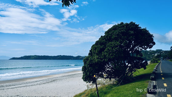 Onetangi Beach