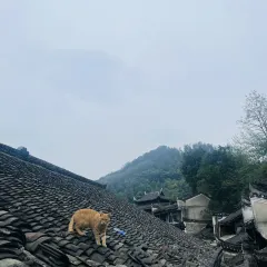 中心老饭店 User Photo