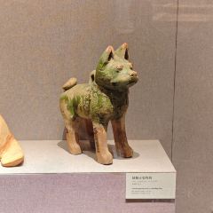 SONG DU HE YUAN User Photo