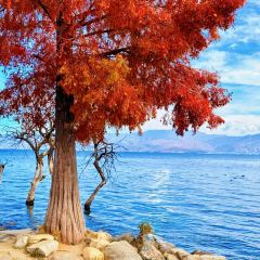 IN MY HEART User Photo