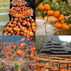 瑶乡饭店 User Photo