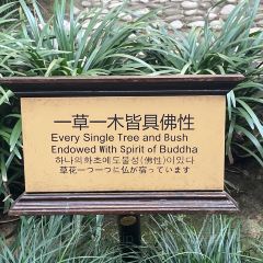 RONG CUISINE 여행 사진