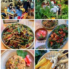 丽江飞鸟民谣酒吧(束河店) 여행 사진