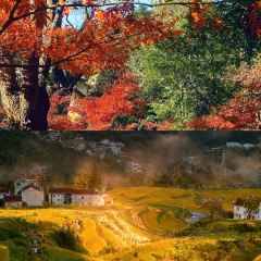 老李家燒烤·安吉網烤（安吉店）張用戶圖片