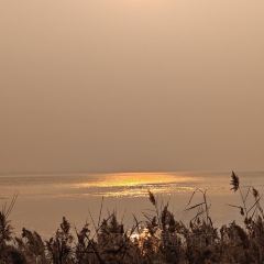 紫薇冷饮(桐乡店) User Photo