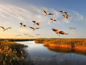 Dengzhoushi Tuanhe National Wetland Park