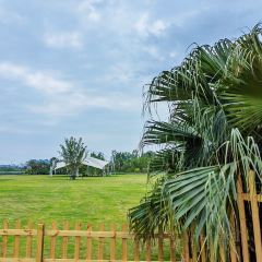 云里小坐·海泉湾·团建·聚会·下午茶(金堂海泉湾店) User Photo