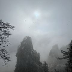 老君山枕云悬崖观景民宿·老君山顶2217云顶餐厅 User Photo