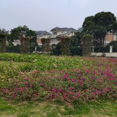 玉环中心温德姆花园酒店·花园自助餐厅 User Photo