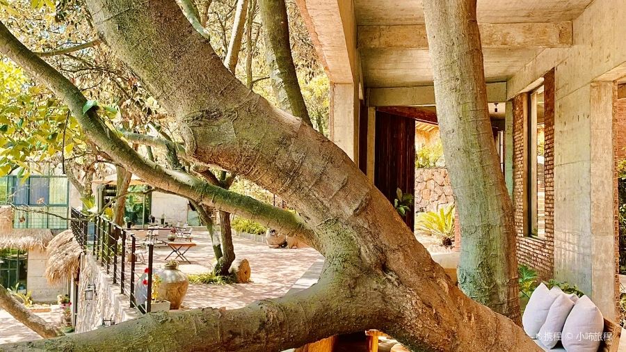 爸爸的房子民宿餐厅