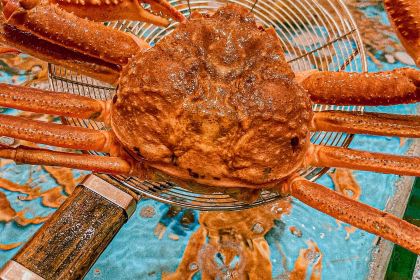 福宁海鲜大排档