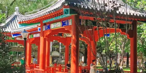 榆樹公園