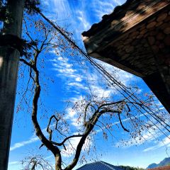 北山淩英手擀麵張用戶圖片