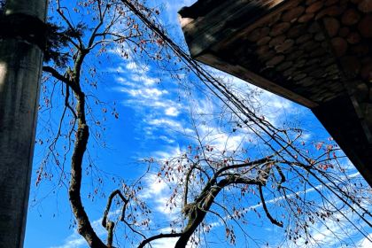 北山淩英手擀麵