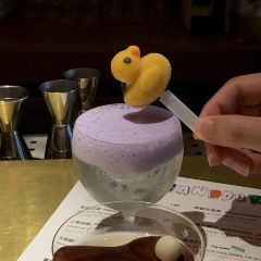 THE CANDOUR User Photo