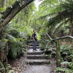 The 1000 Steps Cafe User Photo