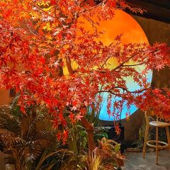 2046 ARTMUSICBAR User Photo