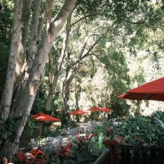 Valley Coffee Lanna Resort User Photo