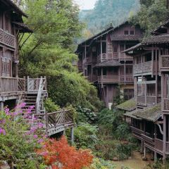 炎黃茶館張用戶圖片