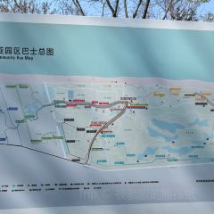 Naive li xiang guo (a na ya dian) User Photo