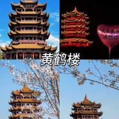 QINGHE User Photo
