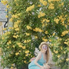 Lot Of Taste User Photo