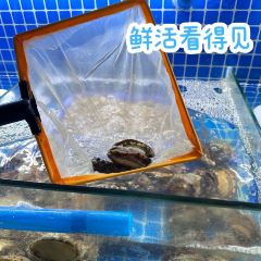 YONGXIAOGUAN 여행 사진