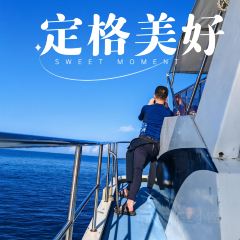 Nago Gyoko Suisan Butchokubaisho User Photo