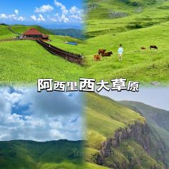 醉牛烤肉張用戶圖片