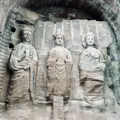 中国柠檬小镇 User Photo