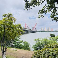 电信猪血汤粉店 User Photo