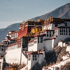 绕赛老字号包子店 User Photo