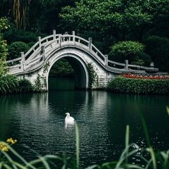 79号渔船海鲜饭店(岗厦店) User Photo