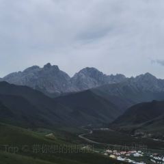 清真·敦来顺·手抓羊肉 User Photo