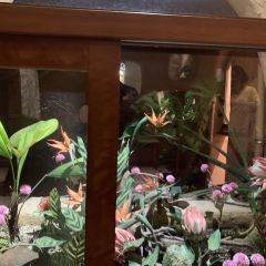 Ola Cafe - 31 Nguyễn Hữu Huân User Photo