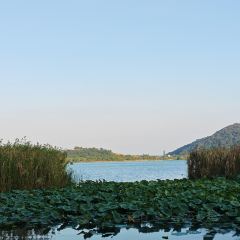 小三毛流浪处明清酒家(南北湖风景区店) User Photo
