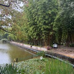 CHEN NIANG NIANG User Photo