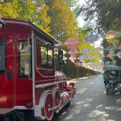 哎呀妈妈哟岚山豆腐木柴大锅鱼 User Photo