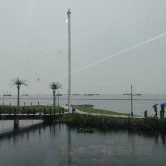 太湖船說•魚家菜（漁人碼頭店）張用戶圖片