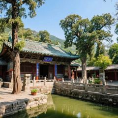 杨记灌肠(食品街店) User Photo