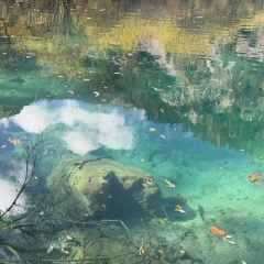 人民食堂土菜馆 User Photo