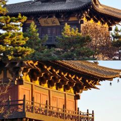 顺意凉粉(鼓楼东街总店) User Photo