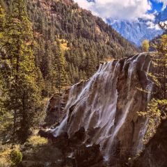 卡万金特色藏餐 User Photo