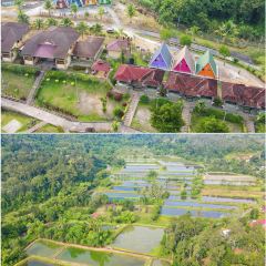 Dusun Tok Wak Desa, User Photo