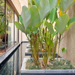 KHAO by Four Seasons User Photo